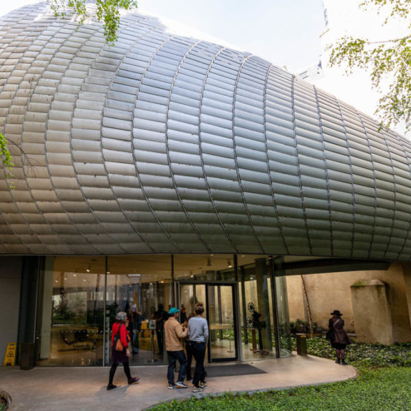 FONDATION SEYDOUX -PATHE